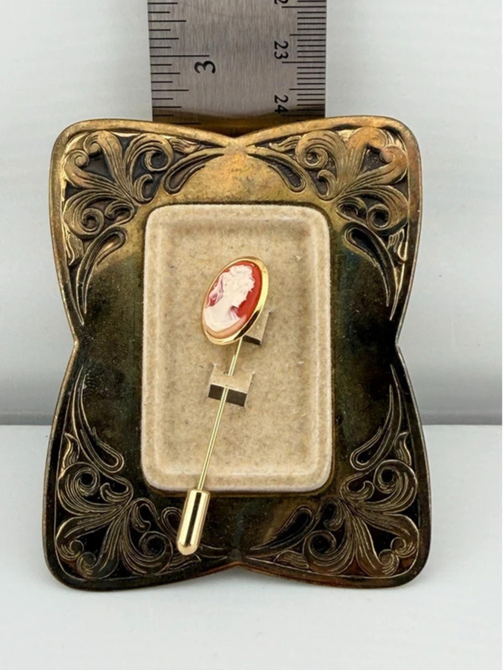 Vintage Cameo Stick Pin in Ornate Display Frame/Case – Red Ivory Gold Tone